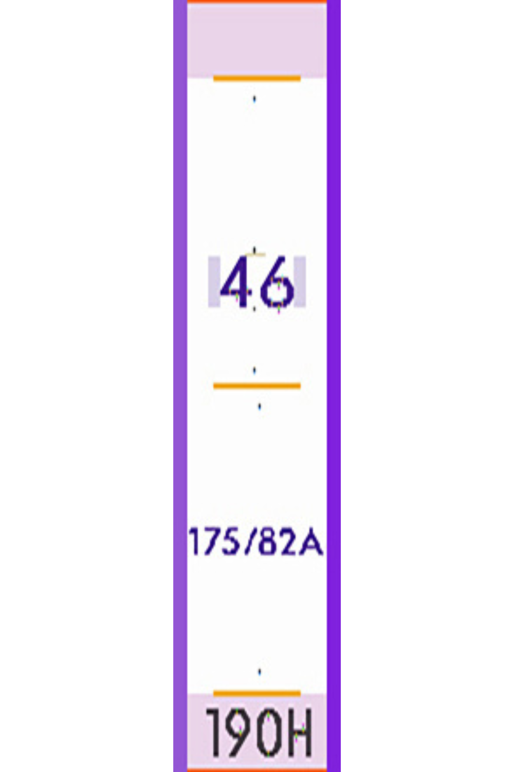 Photo du produit PUCE CELINE FEMME 46 190H de référence : 71418C01